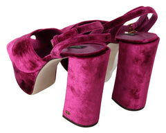 Dolce & Gabbana Sumptuous Velvet Platform Sandals in Pink